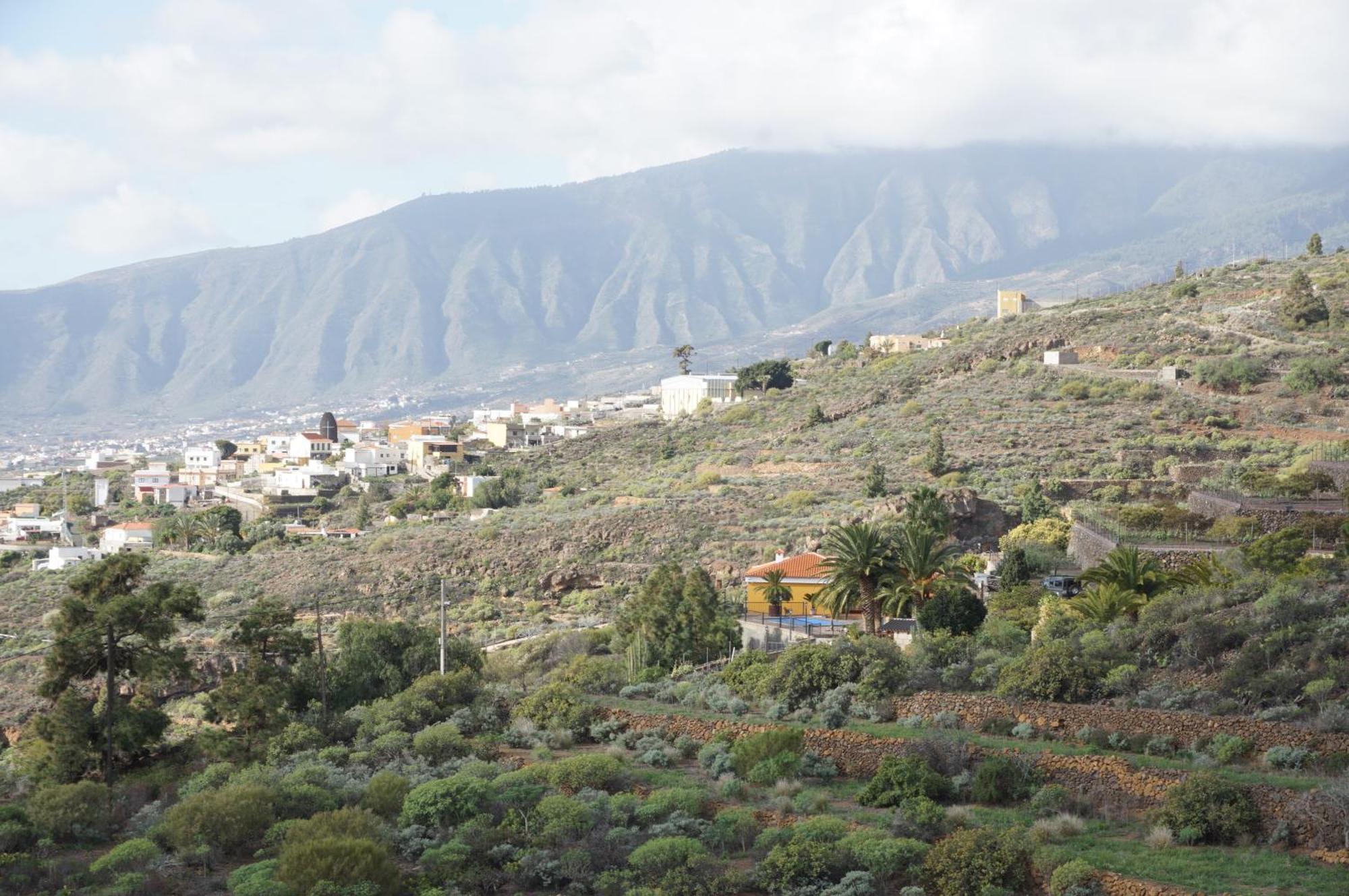 Casa Colores Tenerife Guesthouse กันเดลาเรีย ภายนอก รูปภาพ